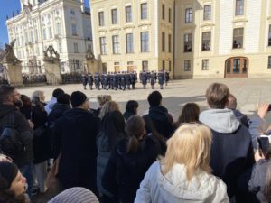 IMG_1905.jpeg