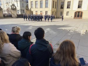 IMG_1906.jpeg