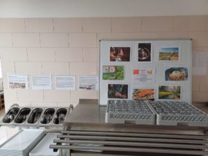 f07098b7-907c-4129-9871-f1cfeb87aea6.jpeg