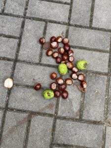 IMG_9566_002-rotated.jpeg