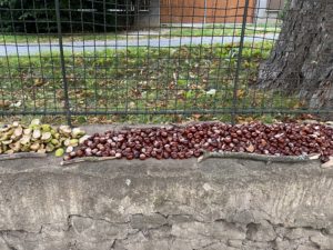 IMG_9567_002.jpeg