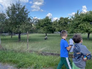 IMG_9690.jpeg
