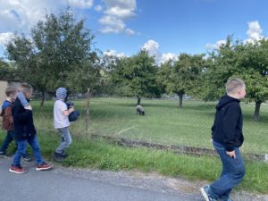IMG_9691.jpeg