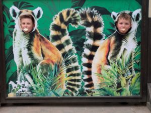 lemuri-kluci.jpg
