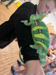 IMG_2979-rotated.jpeg